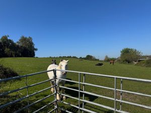 Photo 38- click for photo gallery